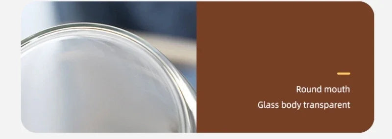 Heat Resistant Clear Double Wall High Borosilicate Glass Mug with Handle Coffee Milk Juice Water Cup Coffeeware Lover Gift
