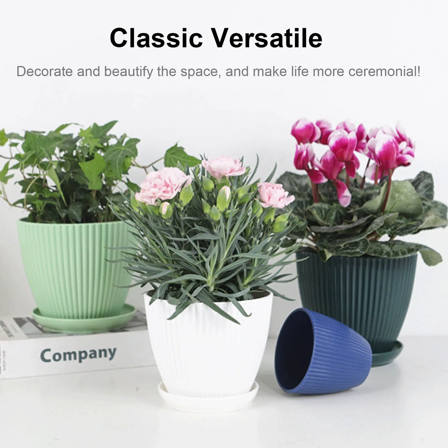 Plastic Flower Pot Succulent Plant Pot with Tray Green Dill Round Double Layer Small Flowerpot Home Office Desktop Decoration