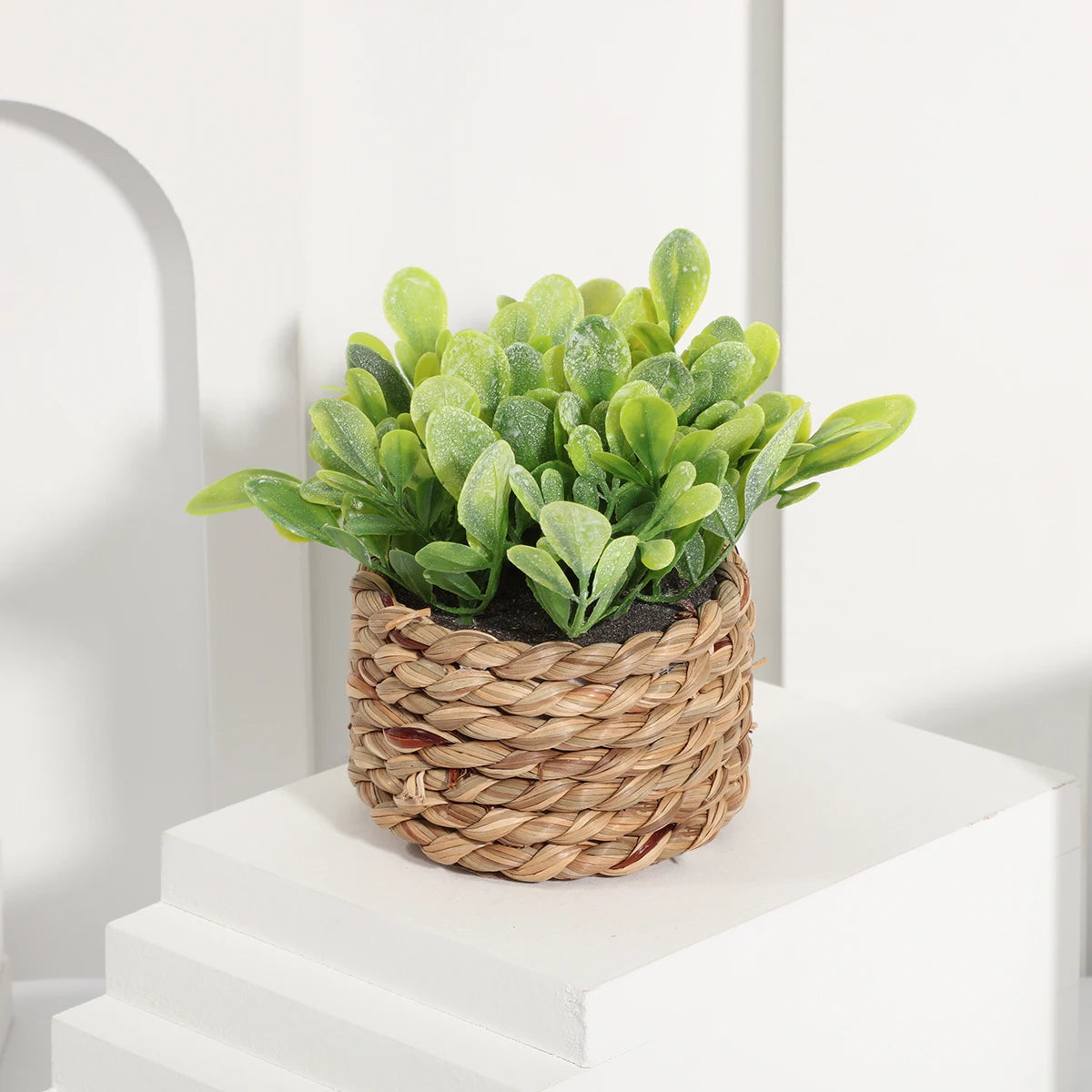 XIYA FLOWER Green Artificial Plants Eucalyptus Grass Woven Small Potted Plants Grass Mound 11cm PE Material Home Decoration