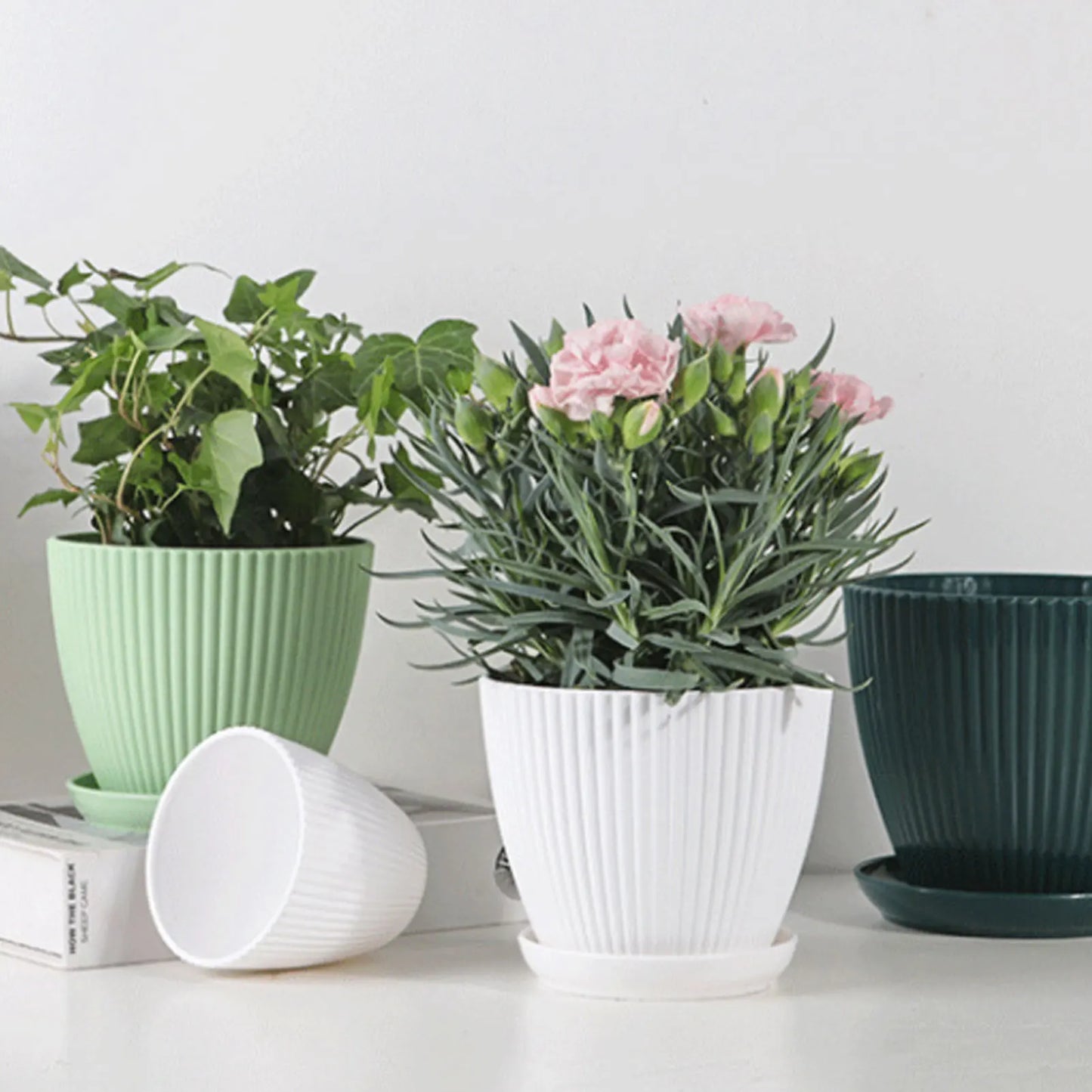 Plastic Flower Pot Succulent Plant Pot with Tray Green Dill Round Double Layer Small Flowerpot Home Office Desktop Decoration